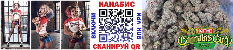 Купить  Звенигород  Каннабис индика 